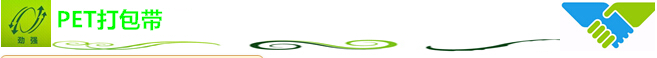 PET打包带 PET打包带