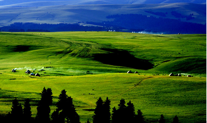 新疆周转箱 新疆周转箱