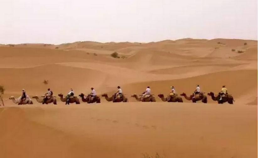 新疆付吉亚 新疆付吉亚