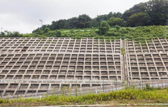 护坡路沿石塑料模具